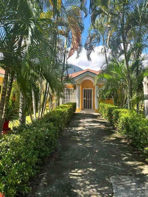 Villa De Ali In Palma Real La Ceiba Kültér fotó